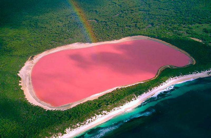 swim-in-lake-hillier-australia-2.jpg